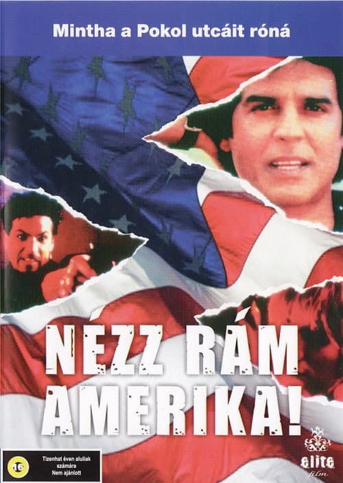 Noleul bola america (1991) poster