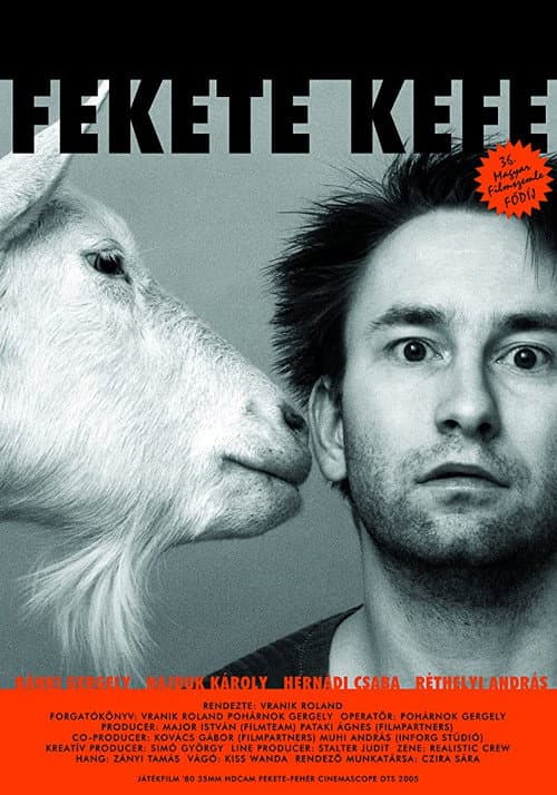 Fekete kefe (2005) poster