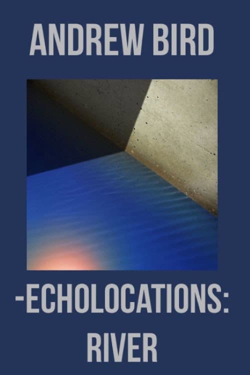 Echolocations: River (2017) poster