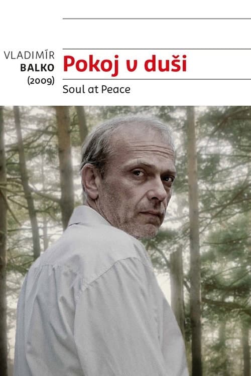 Pokoj v duši (2009) poster