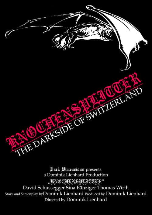 Knochensplitter - The Dark Side of Switzerland (2004) poster