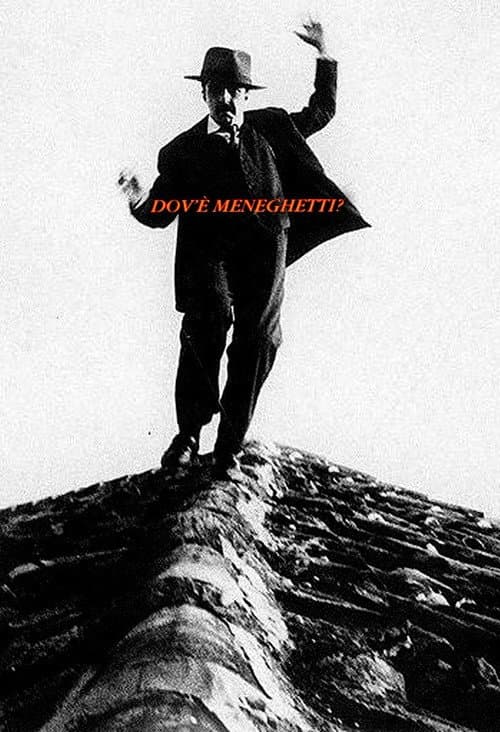 Dov'è Meneghetti? (1989) poster