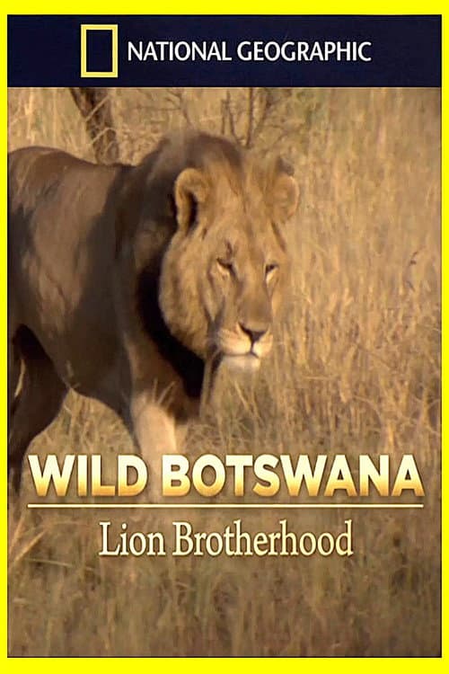 Lion Brotherhood (2013) poster