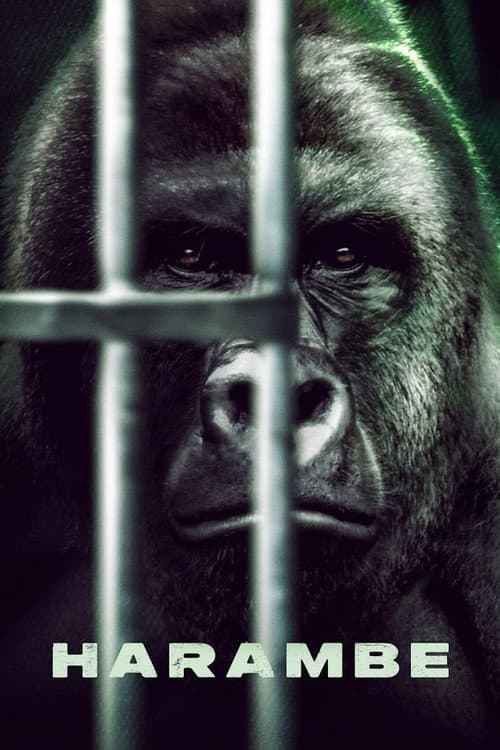 Harambe (2023) poster