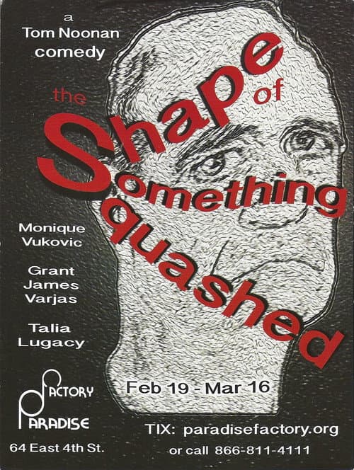 The Shape of Something Squashed (2014) poster
