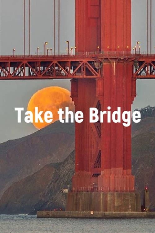 Take The Bridge (2008) poster
