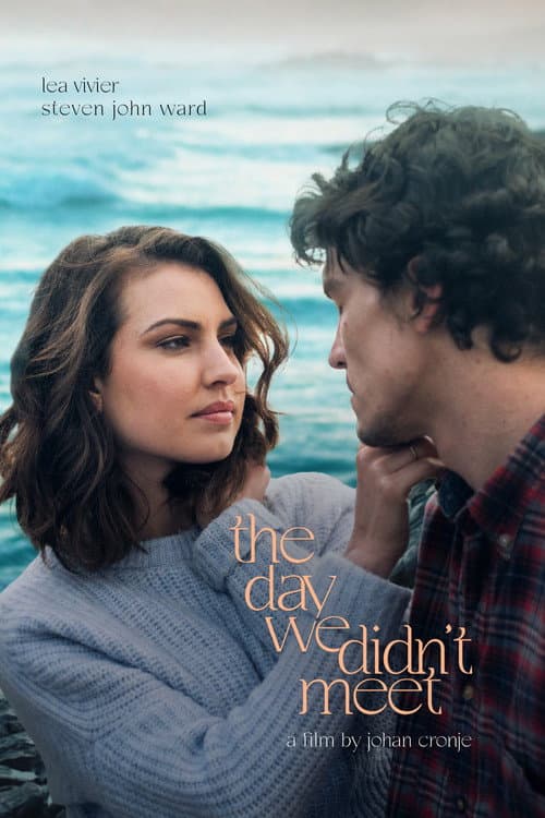 The Day We Didn't Meet (2021) poster