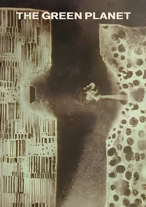 La Planète Verte (1966) poster