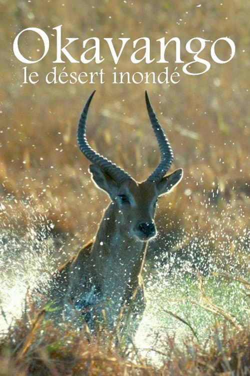 Kalahari: The Flooded Desert (2021) poster