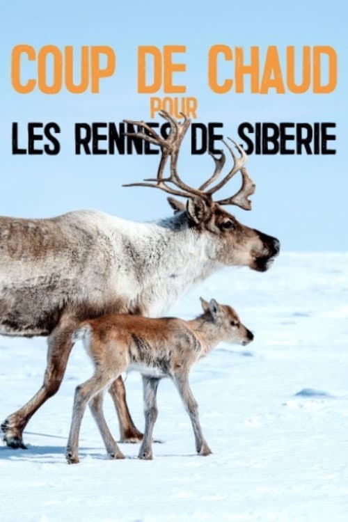 Coup de chaud pour les rennes de Sibérie (2020) poster
