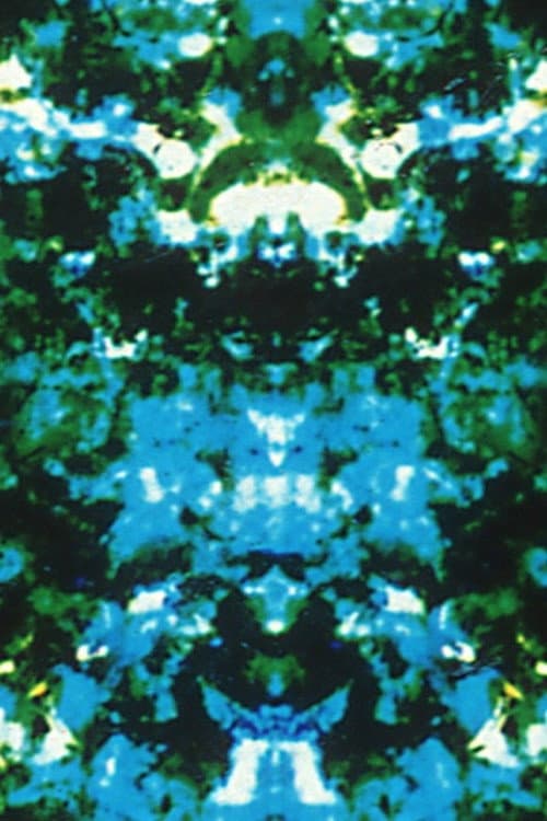 Paranoia Corridor (1995) poster