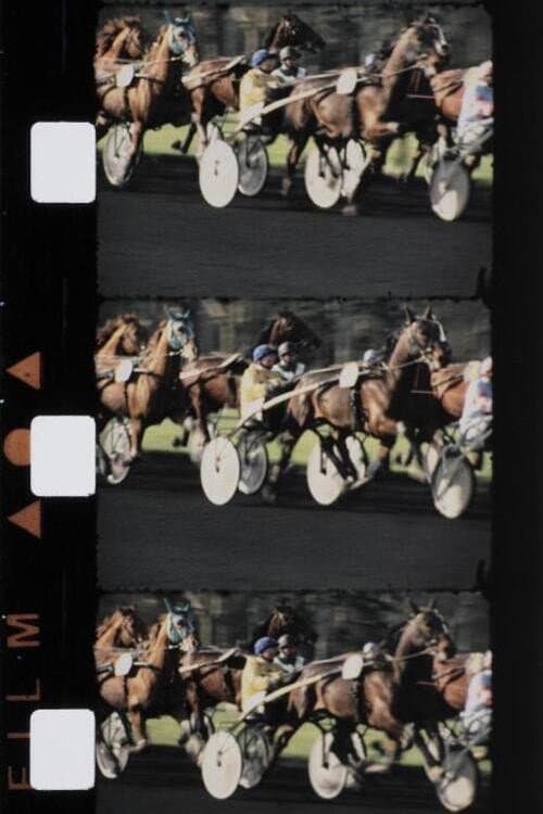 Chevaux couleur (1988) poster