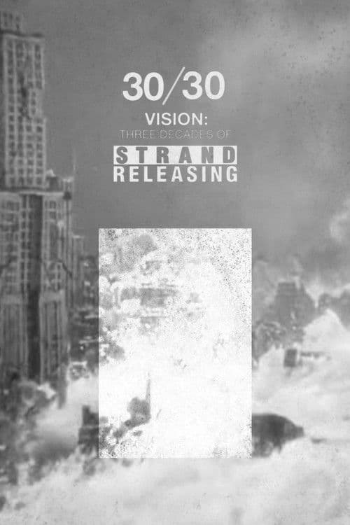 30/30 Vision: Three Decades of Strand Releasing (2019) poster