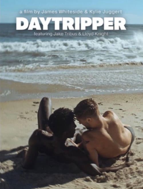 Daytripper (2023) poster