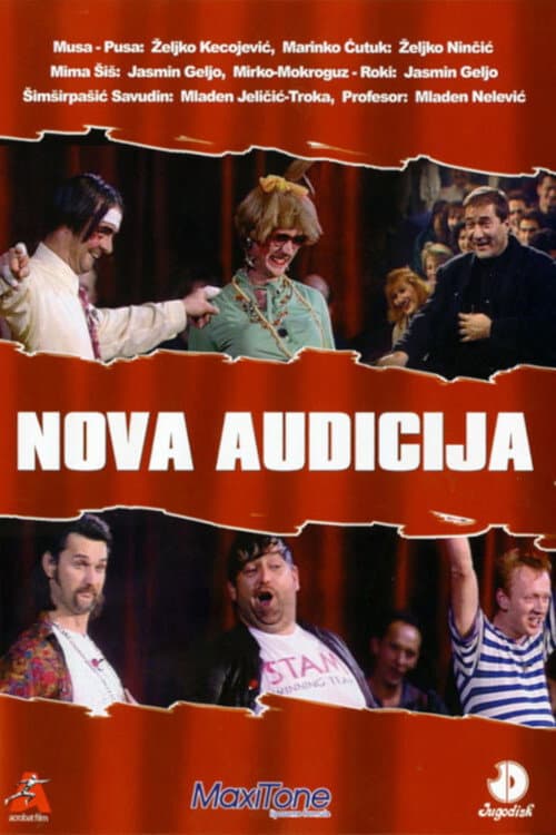 Audicija (1991) poster