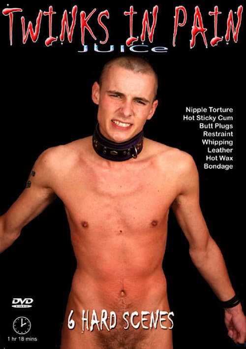 Twinks in Pain (2007) poster