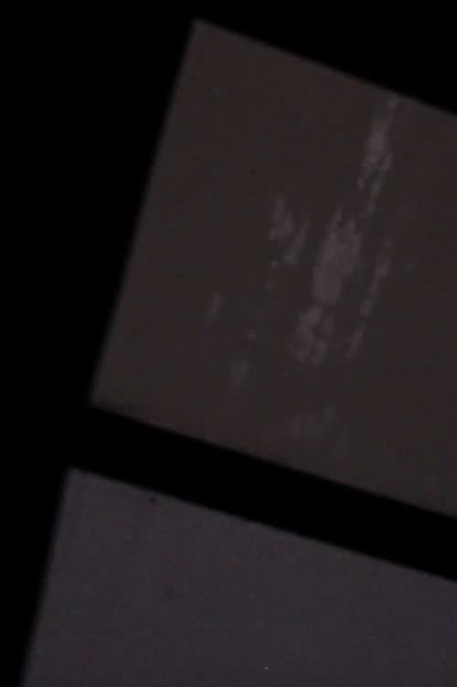 They Can Be Seen From A Distance (2019) poster