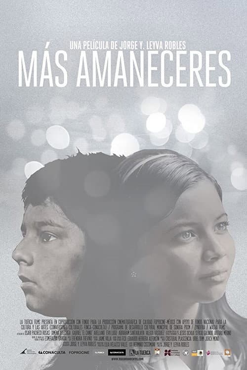 Más amaneceres (2013) poster