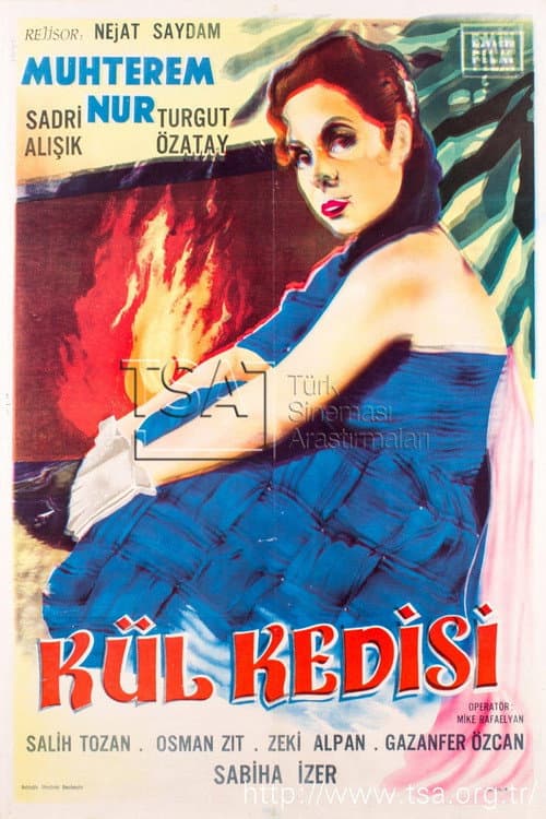 Kül Kedisi (1961) poster