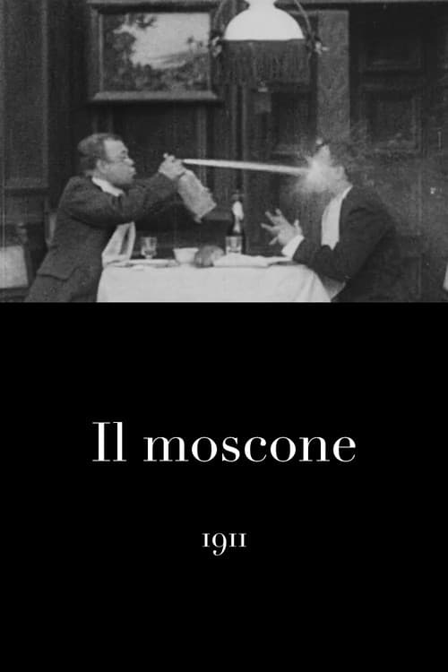 Il moscone (1911) poster