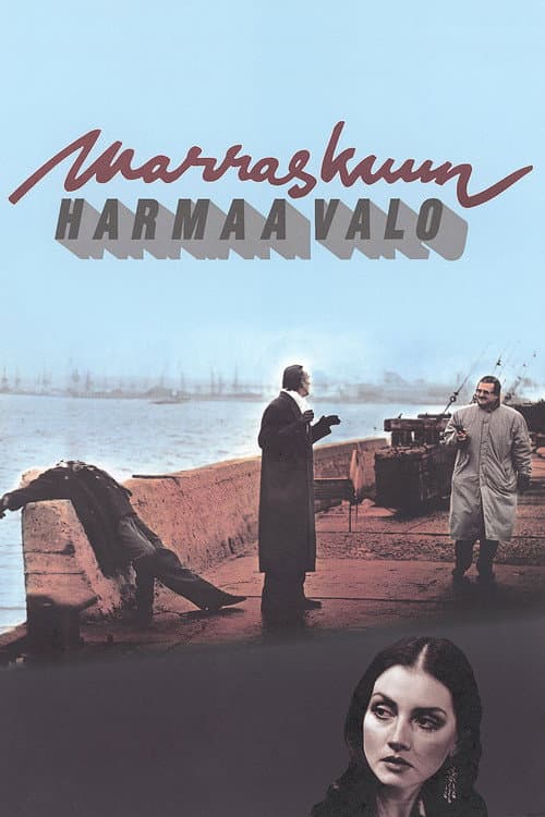 Marraskuun harmaa valo (1993) poster