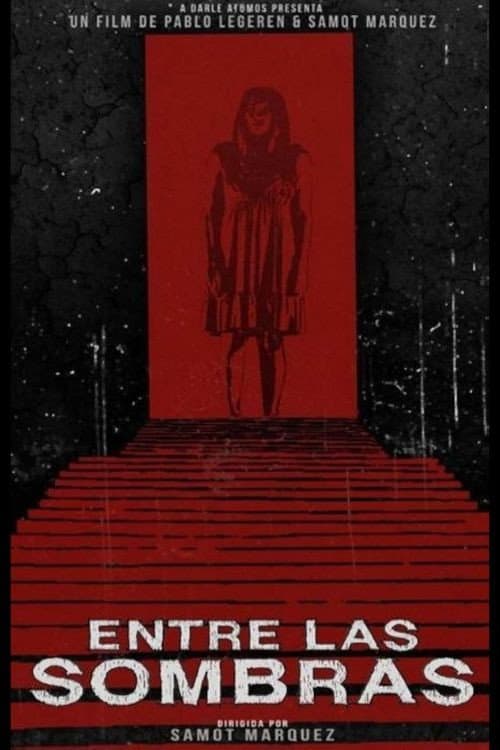 Entre las Sombras (2013) poster