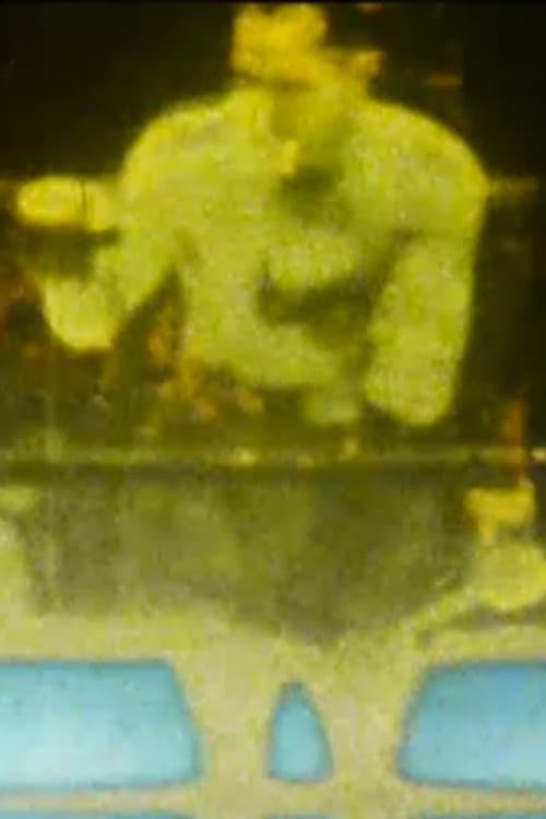 Acid Scratches (1998) poster