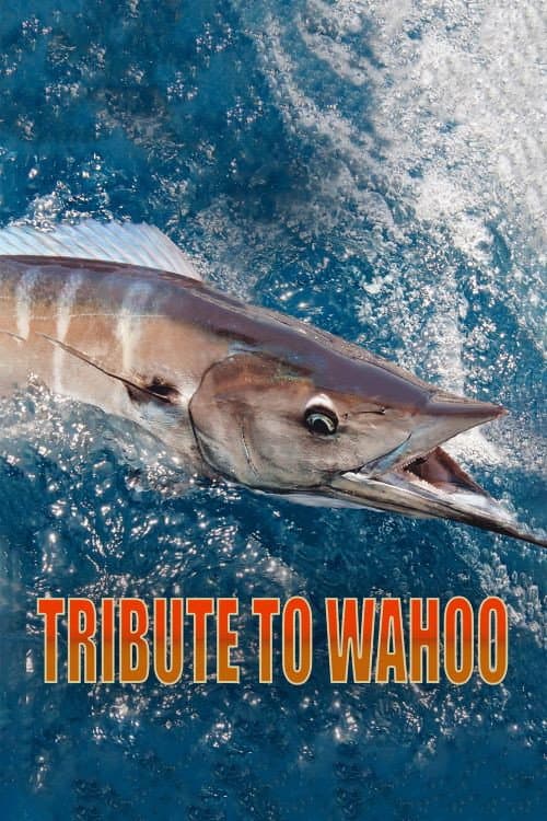 Tribute to Wahoo (2020) poster