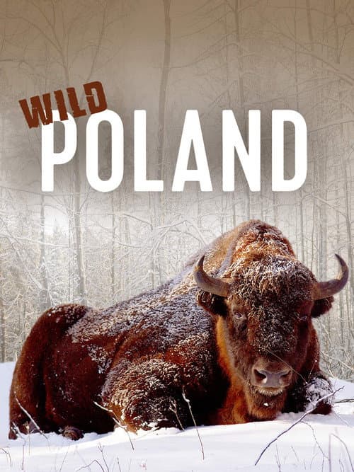 Wild Polen (2012) poster