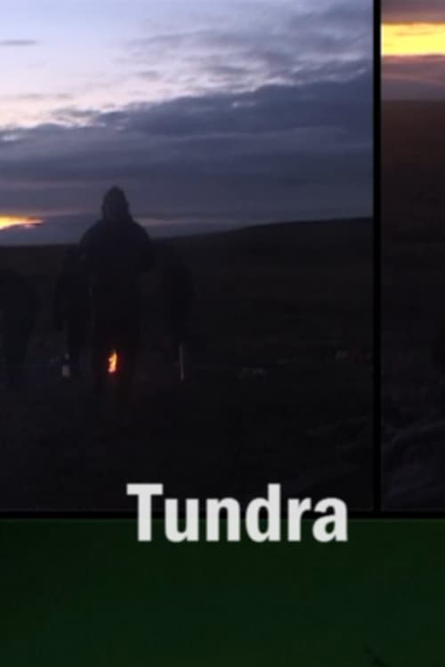 Tundra (2007) poster