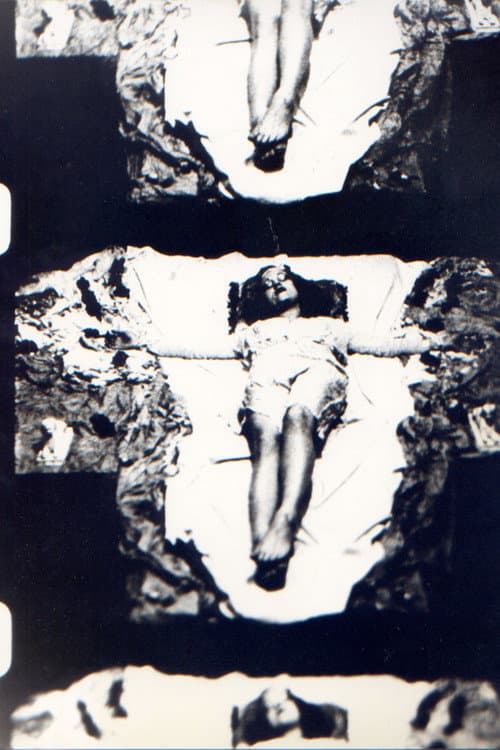 Ecstatic Stigmatic (1980) poster