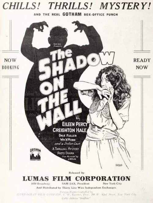 The Shadow on the Wall (1925) poster