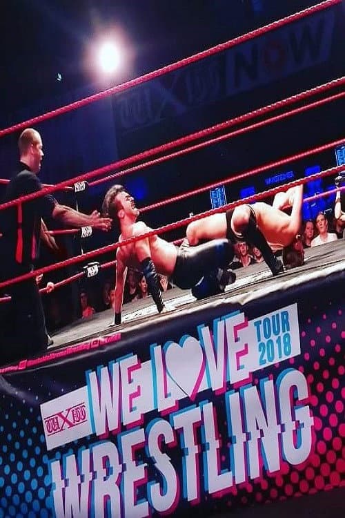 wXw We Love Wrestling Tour 2018: Frankfurt (2018) poster