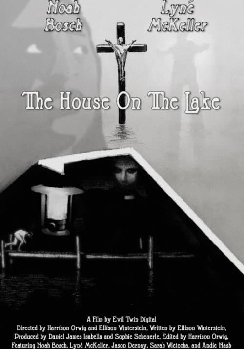 The House On The Lake (2024) poster