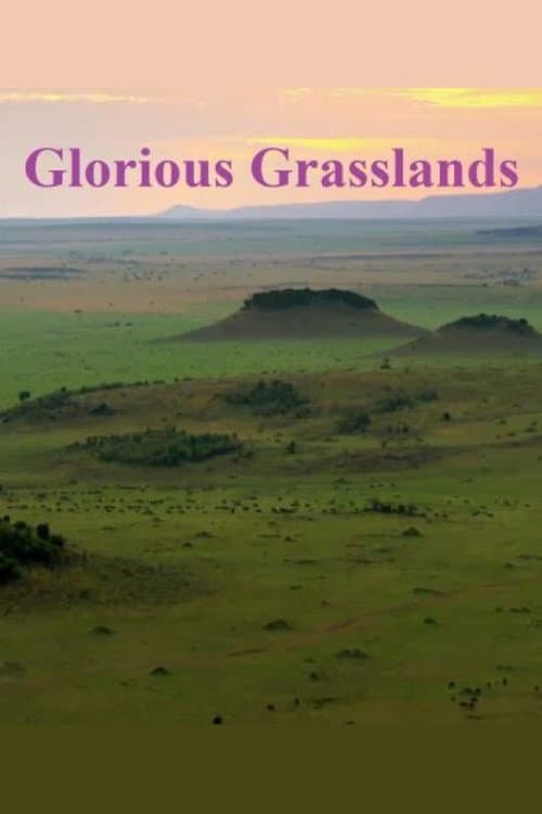 Glorious Grasslands (2021) poster