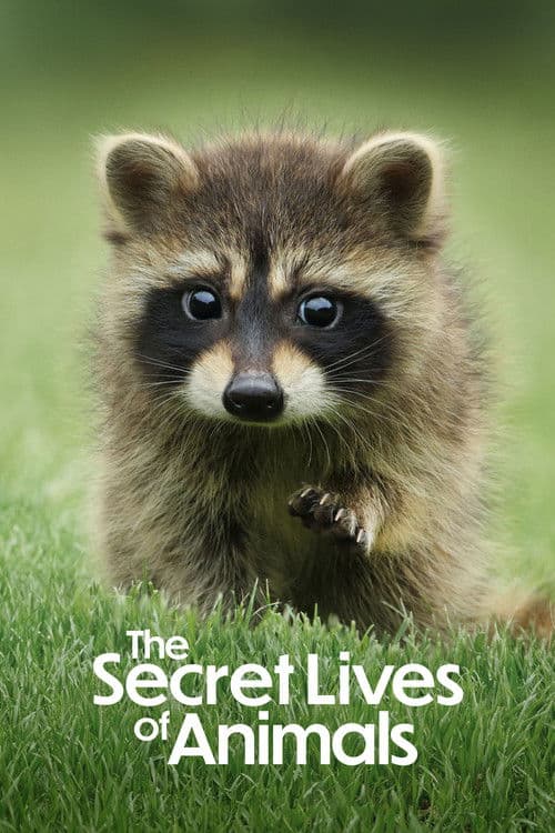 The Secret Lives of Animals (2024) poster