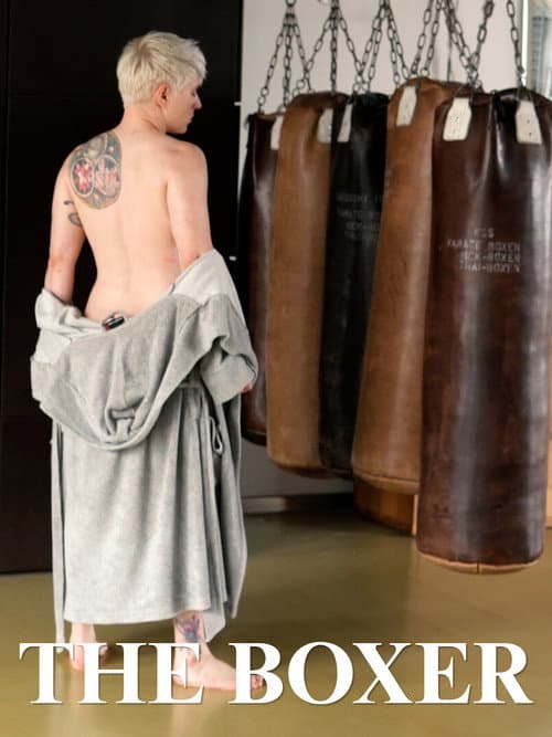 The Boxer (2026) poster