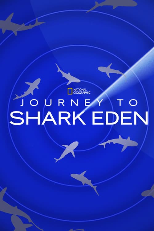 Journey to Shark Eden (2010) poster