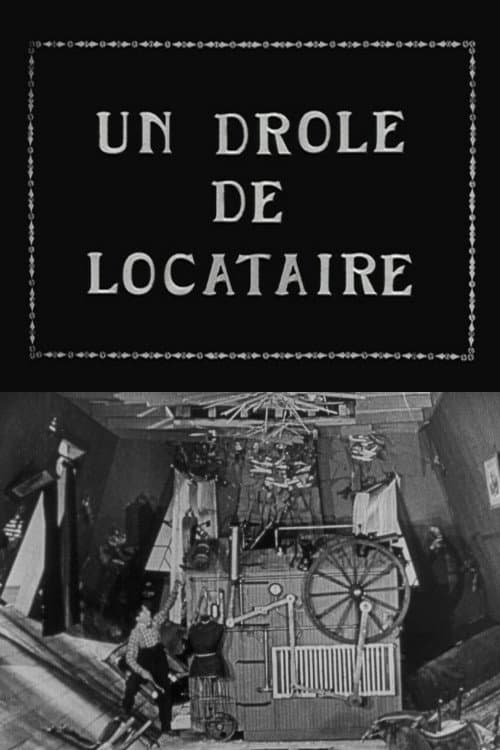A Wild Roomer (1927) poster