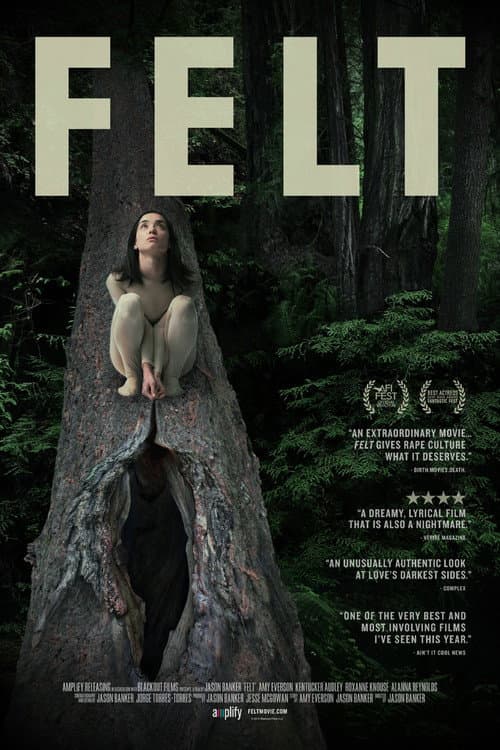 Felt (2014) poster