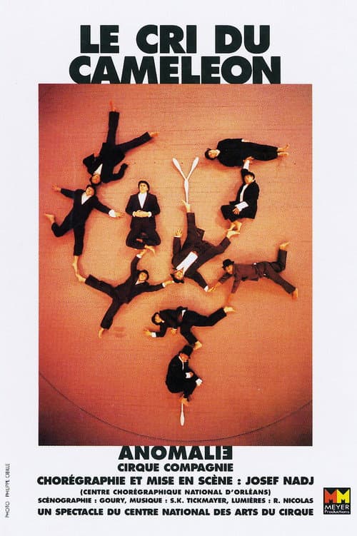 Le Cri du Caméléon (1997) poster