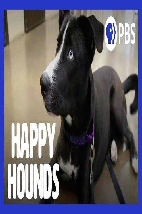 Happy Hounds (2020) poster