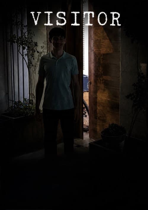 Visitor (2026) poster