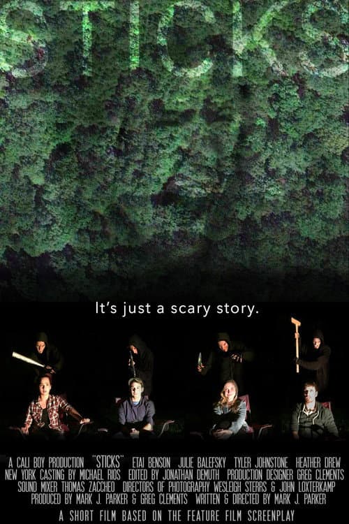 Sticks (2016) poster