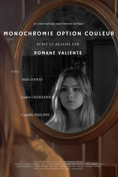 Monochromie Option Couleur (2024) poster