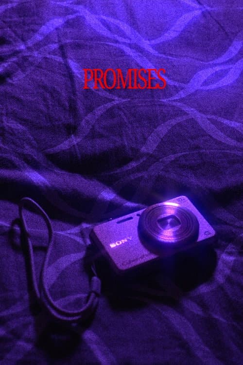 PROMISES (2025) poster