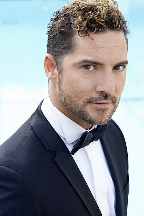 David Bisbal foto