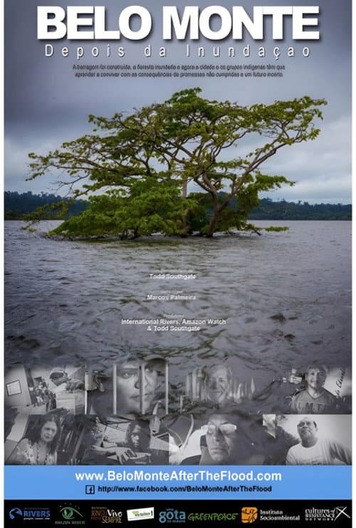 Belo Monte: Depois da Inundação (2016) poster