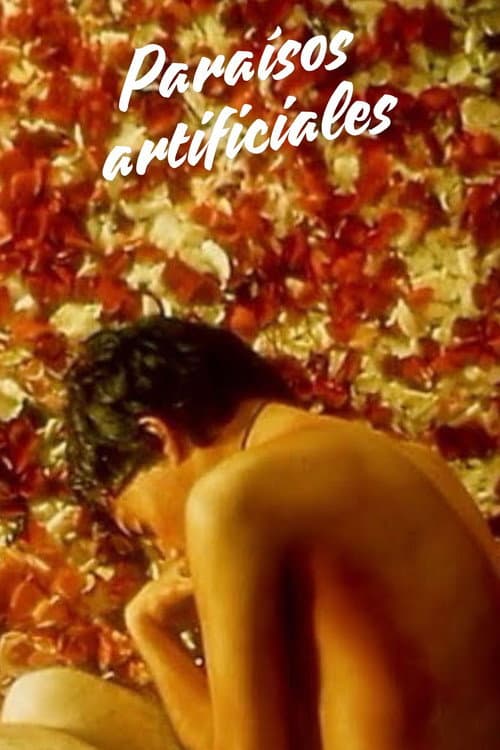 Paraísos artificiales (1999) poster