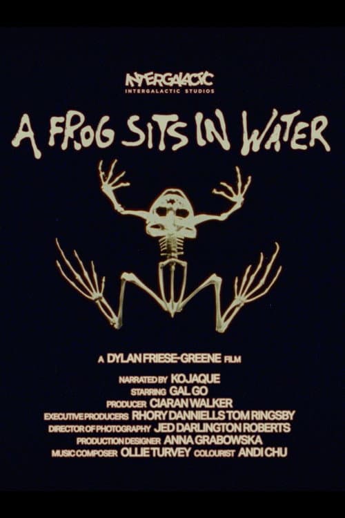 A Frog Sits In Water (2025) poster